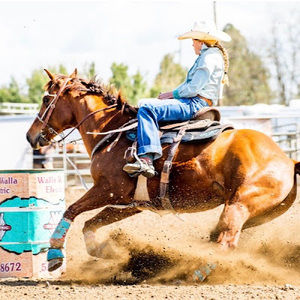 Meet your Posher, Kylie